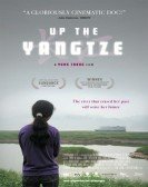 Up the Yangtze Free Download