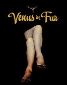 Venus in Fur poster