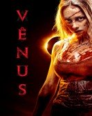 Venus poster