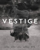 poster_vestige_tt8071620.jpg Free Download