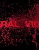 Viral Video Free Download