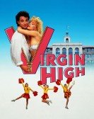 poster_virgin-high_tt0103213.jpg Free Download