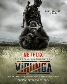 Virunga Free Download