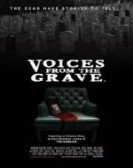 Voices from the Grave Free Download