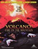 poster_volcano-fire-on-the-mountain_tt0120462.jpg Free Download