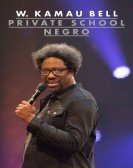 poster_w-kamau-bell-private-school-negro_tt8467788.jpg Free Download