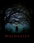 Waldgeist (2017) poster