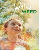 poster_waldo-on-weed_tt6065196.jpg Free Download