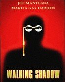 Walking Shadow Free Download