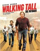 poster_walking-tall-the-payback_tt0804550.jpg Free Download