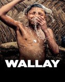 Wallay poster