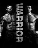 Warrior (2011) Free Download