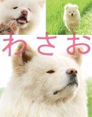 poster_wasao_tt1720290.jpg Free Download