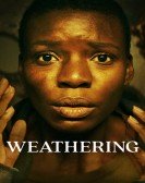 Weathering Free Download