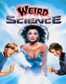 poster_weird-science_tt0090305.jpg Free Download