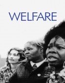 poster_welfare_tt0073887.jpg Free Download