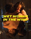 Wet Woman in the Wind (2016) poster