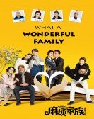 poster_what-a-wonderful-family_tt6349844.jpg Free Download