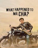 What Happened to Mr. Cha? poster