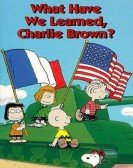 poster_what-have-we-learned-charlie-brown_tt0123322.jpg Free Download