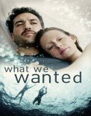 poster_what-we-wanted_tt13279528.jpg Free Download