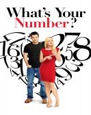 What's Your Number? (2011) poster