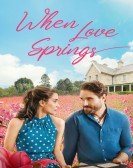 poster_when-love-springs_tt24484852.jpg Free Download