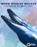 poster_when-whales-walked-journeys-in-deep-time_tt9780434.jpg Free Download