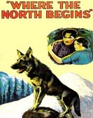 Where the North Begins Free Download