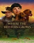 Where the Red Fern Grows (2003) Free Download