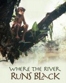 Where the River Runs Black Free Download