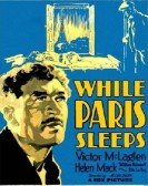 While Paris Sleeps poster