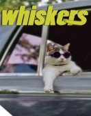 Whiskers Free Download