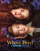 poster_white-bird_tt11068094.jpg Free Download