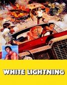 poster_white-lightning_tt0070915.jpg Free Download