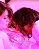 White Lily Free Download