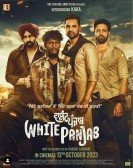 White Punjab poster