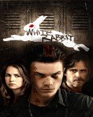 White Rabbit (2013) Free Download