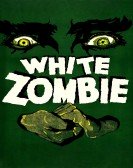 White Zombie poster