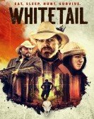 Whitetail Free Download