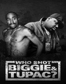 Who Shot Big poster