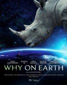 poster_why-on-earth_tt19867756.jpg Free Download