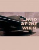 Wild at the Wheel Free Download