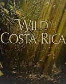 Wild Costa Rica Free Download