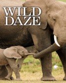 poster_wild-daze_tt3859352.jpg Free Download