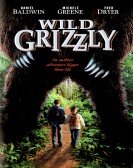 poster_wild-grizzly_tt0191653.jpg Free Download