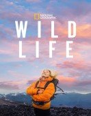 poster_wild-life_tt26520932.jpg Free Download