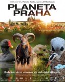 Wild Prague Free Download