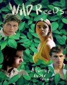 poster_wild-reeds_tt0111019.jpg Free Download