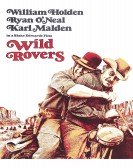 Wild Rovers poster